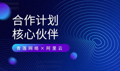 青蓮網絡 攜手阿里云，共建云原生及MSP合作新生態